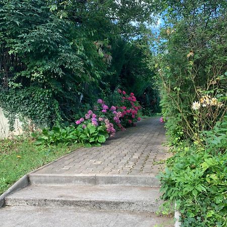 Residence Rokia رويات المظهر الخارجي الصورة