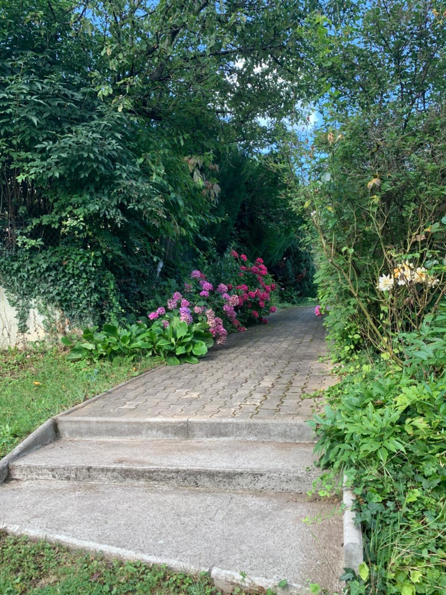 Residence Rokia رويات المظهر الخارجي الصورة